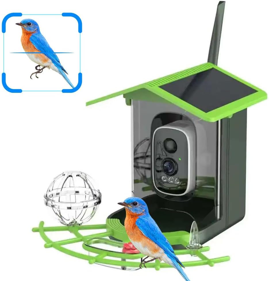 Real Time Bird watching WIFI A - A1 Watches & Jewelry New York Photos ulasan dan harga
