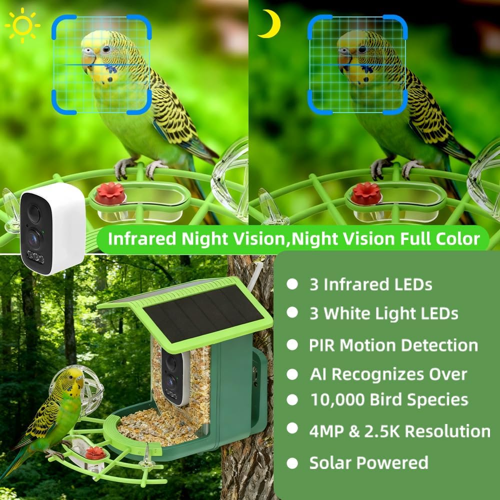 Real Time Bird watching WIFI A - A1 Watches & Jewelry New York Photos ulasan dan harga